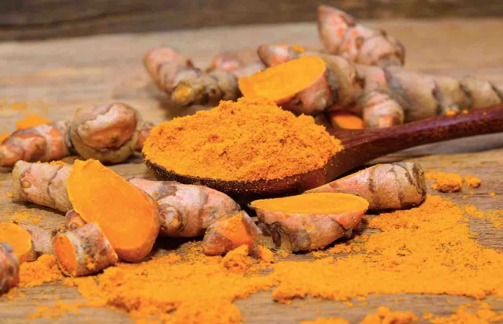what are herbal supplements?