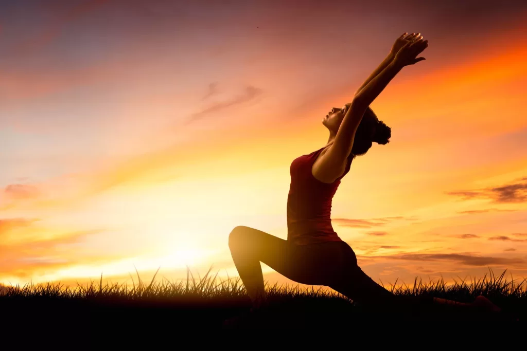 Natural Energy Supplement - Energy Pollen
